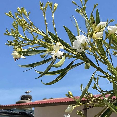 Herdade Dos Salgados Do Fialho Φάρο Εξωτερικό φωτογραφία