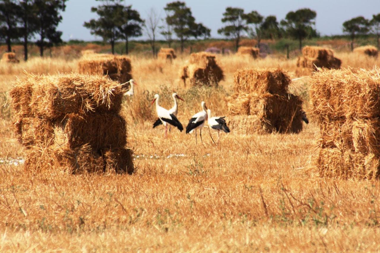 Herdade Dos Salgados Do Fialho Φάρο Εξωτερικό φωτογραφία