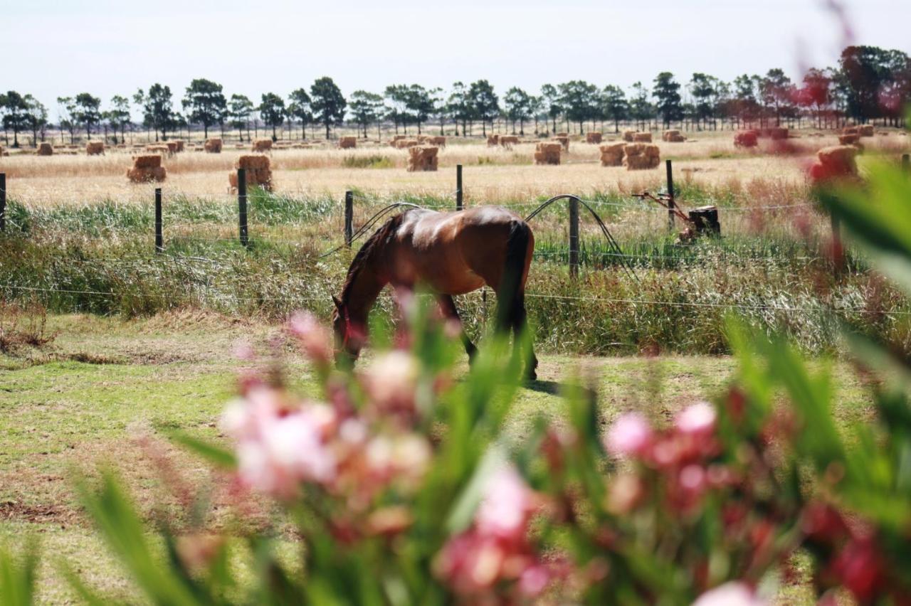 Herdade Dos Salgados Do Fialho Φάρο Εξωτερικό φωτογραφία