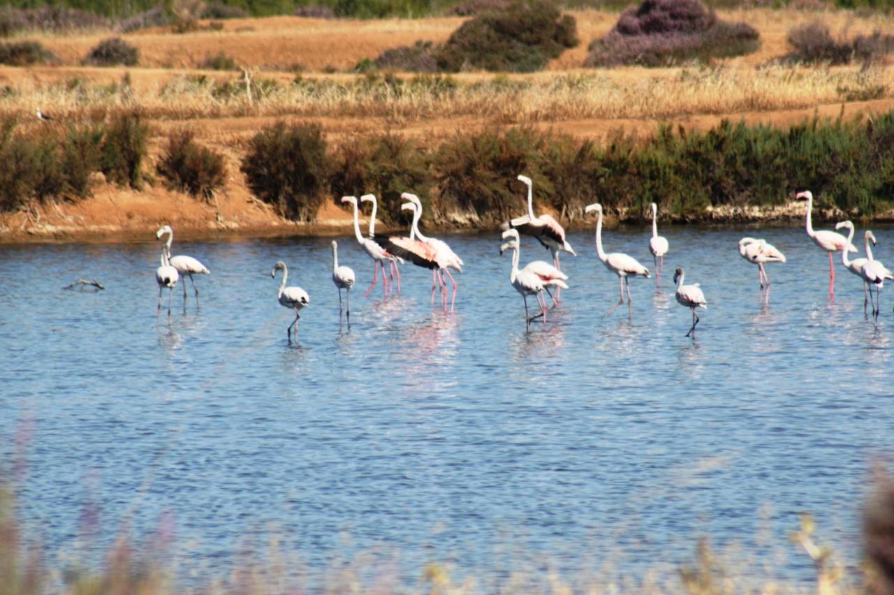 Herdade Dos Salgados Do Fialho Φάρο Εξωτερικό φωτογραφία