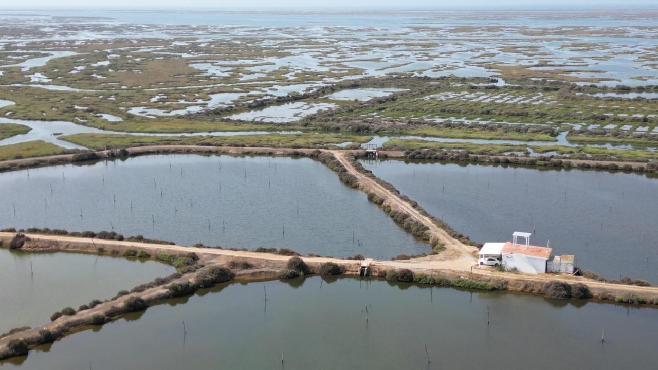Herdade Dos Salgados Do Fialho Φάρο Εξωτερικό φωτογραφία