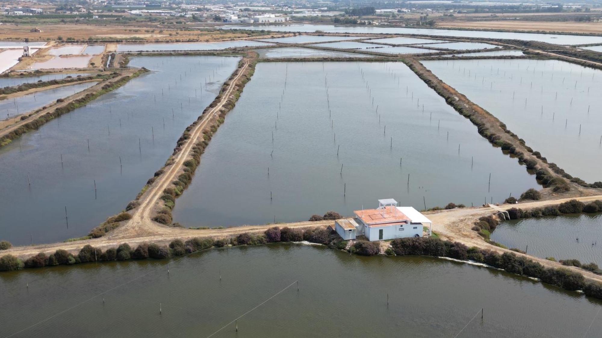 Herdade Dos Salgados Do Fialho Φάρο Εξωτερικό φωτογραφία