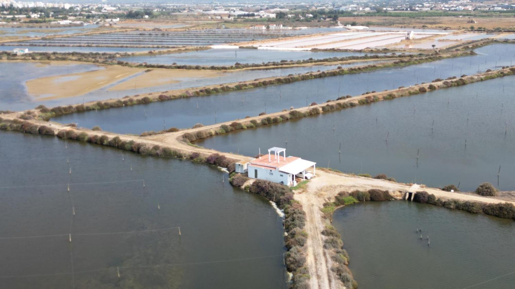 Herdade Dos Salgados Do Fialho Φάρο Εξωτερικό φωτογραφία