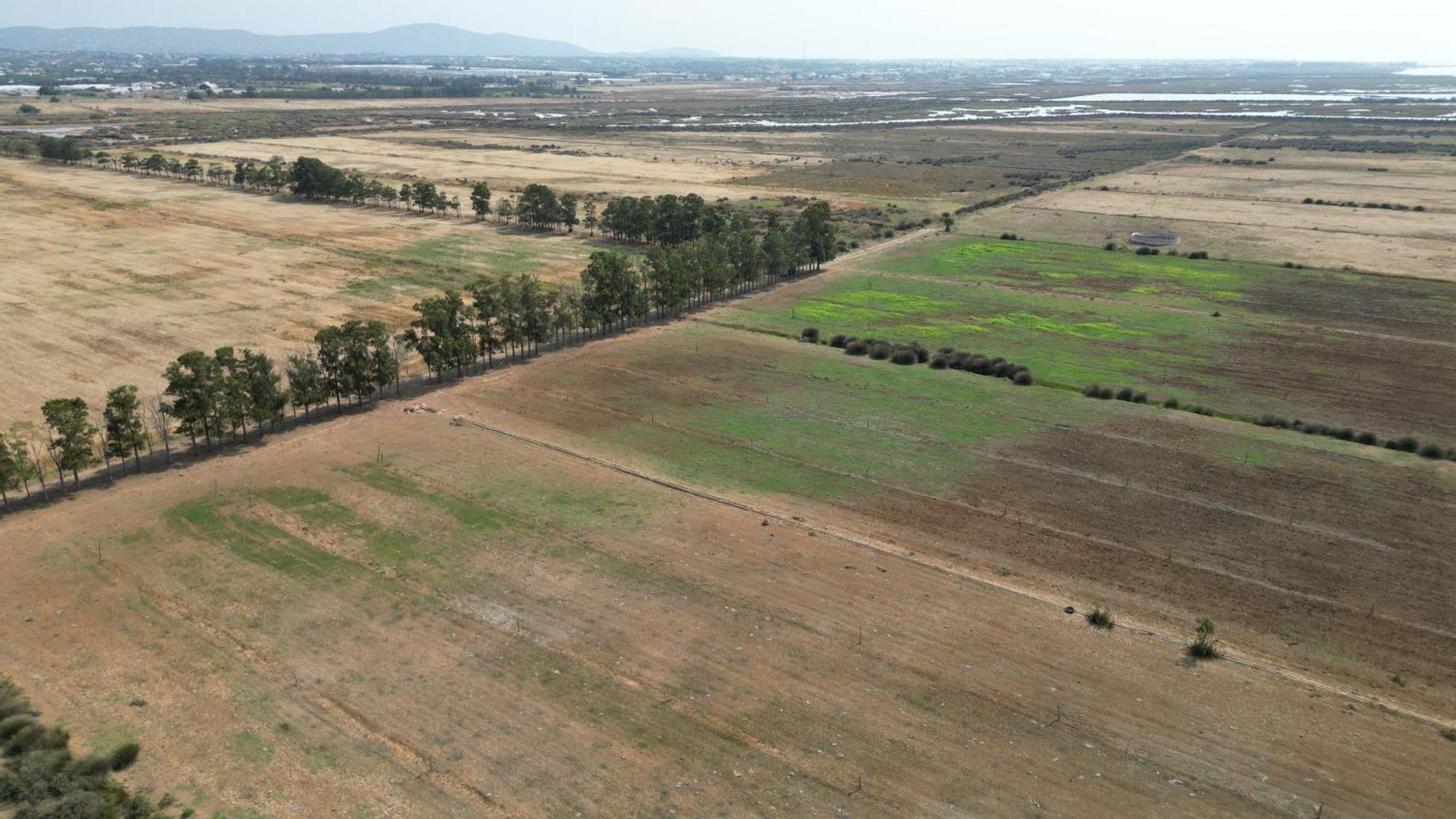 Herdade Dos Salgados Do Fialho Φάρο Εξωτερικό φωτογραφία