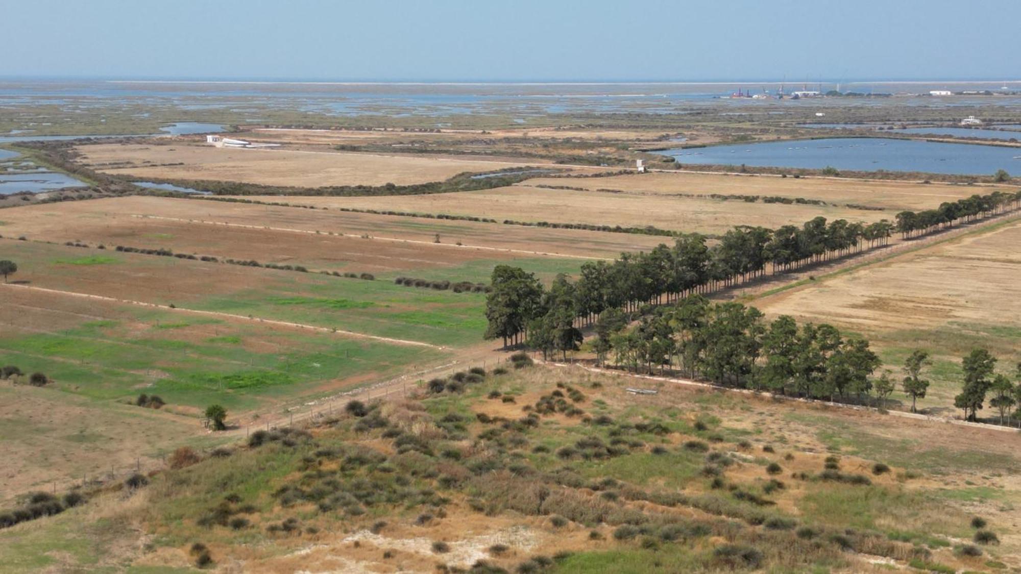 Herdade Dos Salgados Do Fialho Φάρο Εξωτερικό φωτογραφία