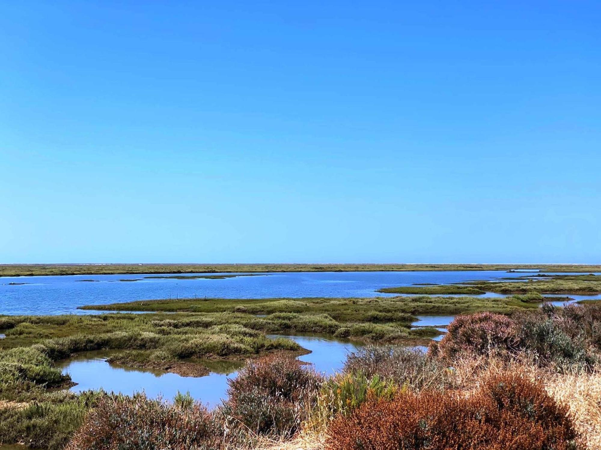Herdade Dos Salgados Do Fialho Φάρο Εξωτερικό φωτογραφία
