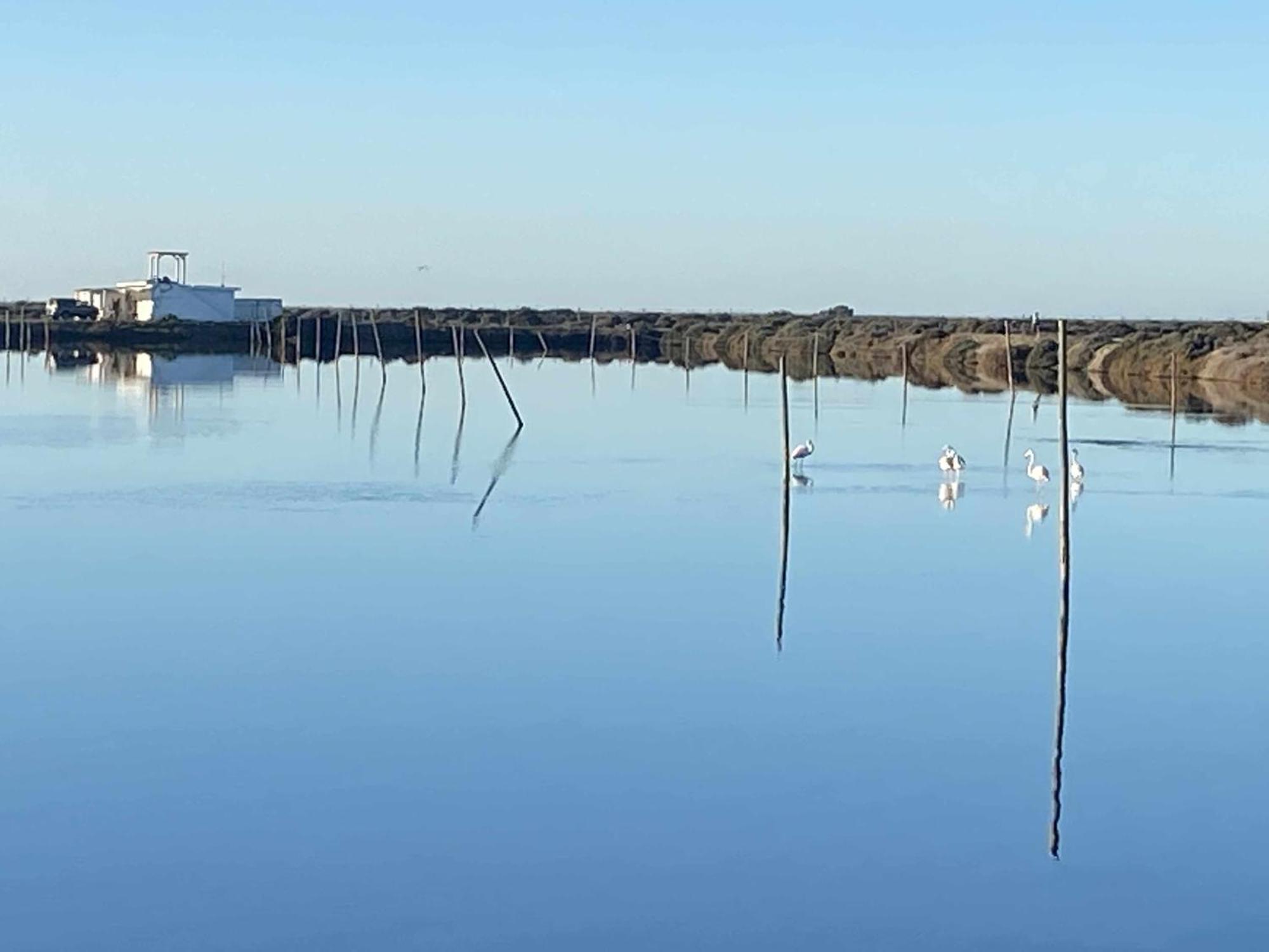 Herdade Dos Salgados Do Fialho Φάρο Εξωτερικό φωτογραφία