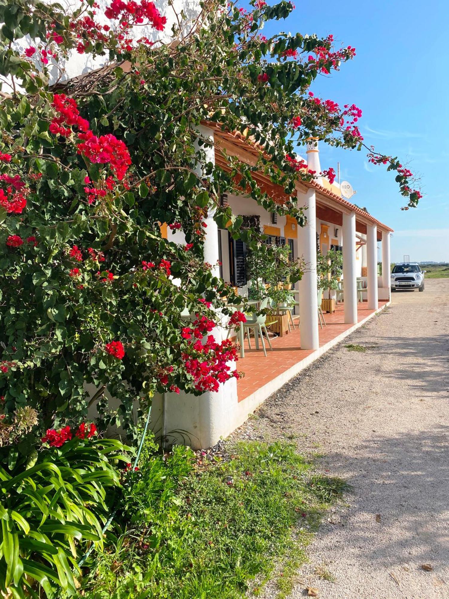 Herdade Dos Salgados Do Fialho Φάρο Εξωτερικό φωτογραφία